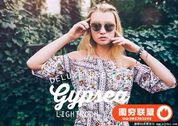 美丽艺术风格Lightroom预设 Gypsea Lightroom Presets