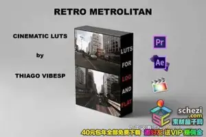 [LUTs预设]Thiago Vibesp –复古都市电影色调LUTs预设支持AE/PR/FCPX/达芬奇