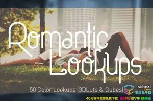 [通用预设-lut预设]50专业浪漫电影风格3D Luts Lookups预设(FCPX/达芬奇/AE/PS/PR)
