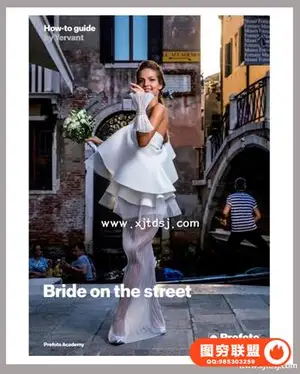 Profoto -婚礼摄影系列 Wedding Portraits SeriesBeauty