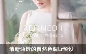 [预设合集-lr预设]卡罗琳大师精制-清新通透的自然色调Lightroom通透预设