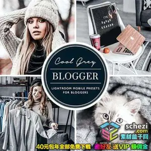 [人像预设-lr预设][人像] Ins旅行精品银灰色系Lightroom预设