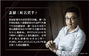 [婚纱]婚礼摄影师歪猫workshop婚纱人像创意思维实战摄影+后期视频-中文字幕