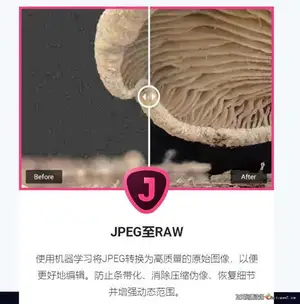 ps插件Topaz JPEG to RAW AI 汉化版(JPEG转RAW)Topaz JPEG to RAW AI v2.2.1中文版-ps滤镜插件