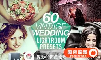 60复古婚礼婚庆Lightroom预设
