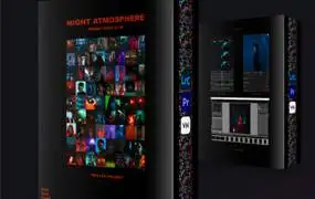 [人像写真-lut/lr预设]俄罗斯摄影师Riffflex 夜间氛围PS/LR/手机LR/LUTS预设包