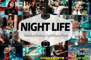 [人像预设-lr预设][人像] 10种城市夜景生活Lightroom预设