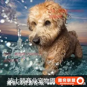 波士顿商业摄影师摄影及后期修饰教程