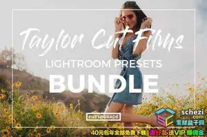 [胶片预设-lr预设][胶片] 最新Taylor Cut Films Lightroom预设合集