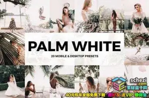 [胶片预设-lut预设][胶片] 旅拍棕白电影胶片/LUT预设