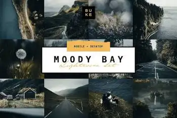 [人文旅行]旅拍黑暗情绪电影胶片风光后期 /手机版 BUKESHOP Moody Bay