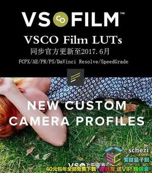 [胶片预设-lut预设]电影胶片VSCO Film LUTs 1-7 3DLUTs 预设(AE,PR,FCPX )