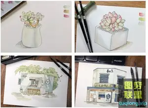 高高手顾烁佳零基础小清新钢笔淡彩课程