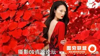 艾德勒琳赛摄影师的时装风格
