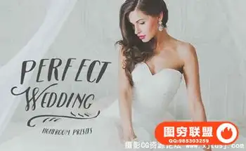 完美粉彩婚礼婚纱跟拍Lightroom预设(40组)