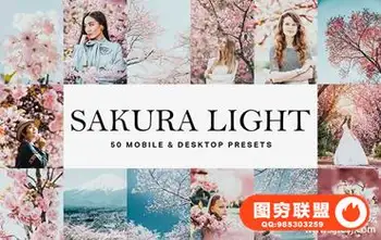 INS风格日系樱花粉色调胶片LR预设+LUT预设/PS/PR/AE/FCPX预设