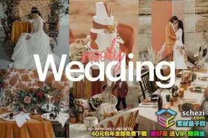 [胶片预设-lr预设][婚礼] 喜怒无常电影胶片婚礼Lightroom预设