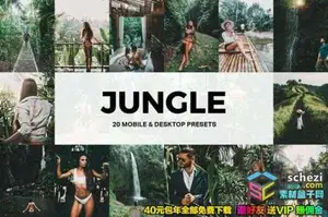 [LUTs预设][旅拍] 森系冒险旅拍/视频调色LUTs预设