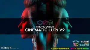 [LUTs预设-lut/lr预设]电影视频调色LUTs预设Triune Color: Cinematic LUTs V2 支持Capture One+LR