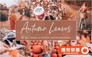 完美秋季人像风景LR预设+手机APP预设 Lightroom Presets Autumn Leaves