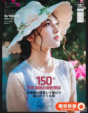 日系Lightroom预设清新文艺人像森系校园调色 滤镜PR/PS/AE/FCPX/LUT预设 日系清新/…