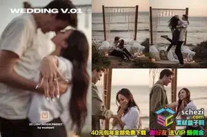 [婚礼预设-lr预设][婚礼] 艺术婚礼订婚情侣LR艺术-Lightroom预设