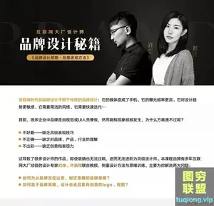 品牌设计策略·创意表现方法 互联网大牌设计师品牌设计秘籍