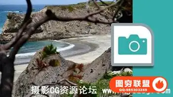 琳达-摄影101