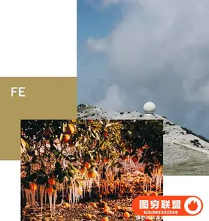 VSCO Film EssentialsLightroom和ACR经典电影(.7更新)