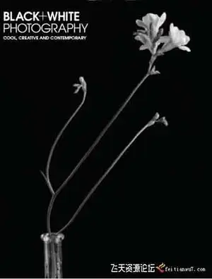 黑白摄影 BLACK+WHITE PHOTOGRAPHY  [1月-8月+秋季特刊]