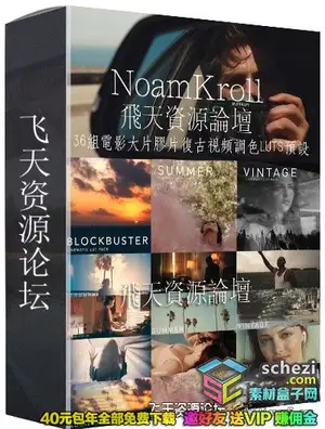 [胶片预设-lut预设]NoamKroll 36组电影大片胶片复古视频调色LUTS预设(AE/Pr/FCPX/Ps等)
