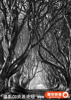 KelbyOne – Master Black & White Outdoor Photography