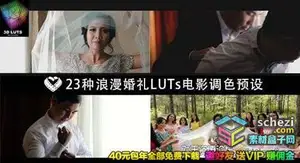 [婚礼预设-lut预设]23种浪漫唯美婚礼 LUTs 电影调色预设 LAPARDIN WEDLUTS
