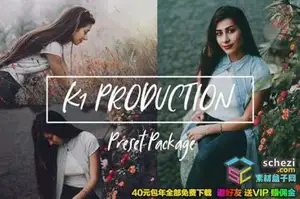 [人像预设]肖像博客和旅行者婚礼胶片人像