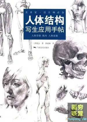 (中文版)美术家·设计师必备:人体结构写生应用手帖 PDF