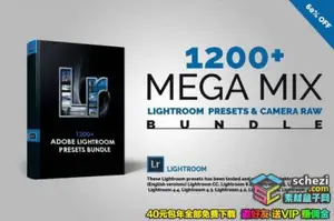[人像预设-lr预设][人像] 1200组摄影师Lightroom预设工具包
