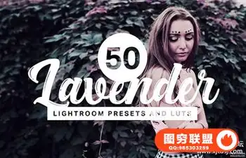 薰衣草紫色调人像LR预设+LUT预设 Lavender Lightroom Presets and LUTs