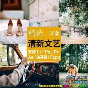[日系|网红-lut预设][日系]清新文艺日系森系滤镜PR/PS/FCPX/达芬奇/AE/Lut
