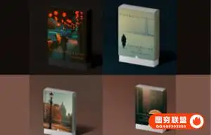 法国街拍摄影师Viktor 4合一预设