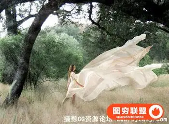 [LR人像预设]Mastin Labs 三套件 Mastin实验室 预设三套合集