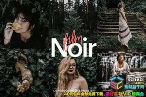 [人像预设]旅拍情绪人像森系黑色胶片主题