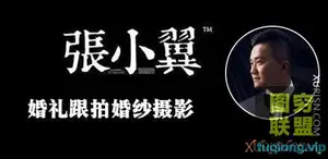 张小翼 婚礼跟拍 婚纱摄影前期灯光拍摄全解析 视频教程