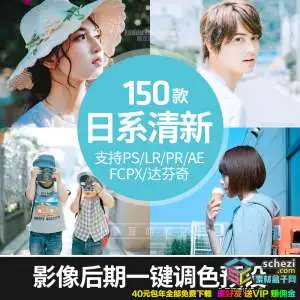 [人像预设-lut/lr预设][日系]日系清新文艺人像森系LR/PR/PS/AE/FCPX/Lut预设