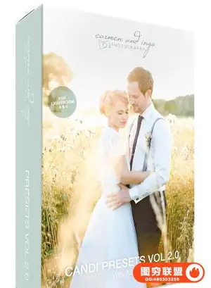 欧美大师级 Candi 婚礼Lightroom预设集合 WEDDING Presets Collection