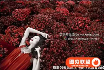 Lindsay Adler-人像摄影与后期创意与润饰技巧视频教程