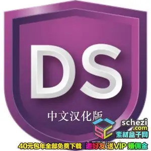 RAW软件标准版 SILKYPIX Developer Studio StdE 9E 9.1.7 汉化版