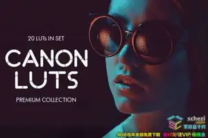 [LUTs预设]20组佳能Canon视频剪辑分级调色LUTs预设下载 Canon video LUTs