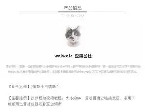 歪猫婚礼workshop全程跟拍摄影教程