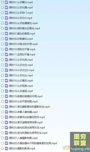 摄影菜鸟入门理论课(29课时)