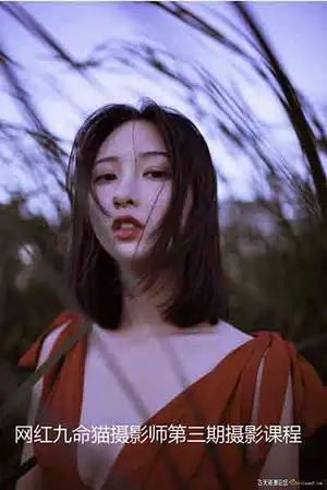 网红九命猫摄影师第三期摄影后期课程